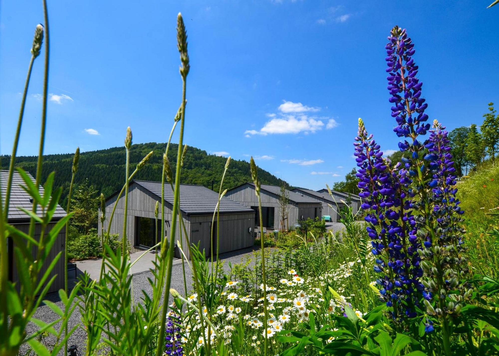 Sauerland Lodge - Haus Juliana Winterberg Dış mekan fotoğraf